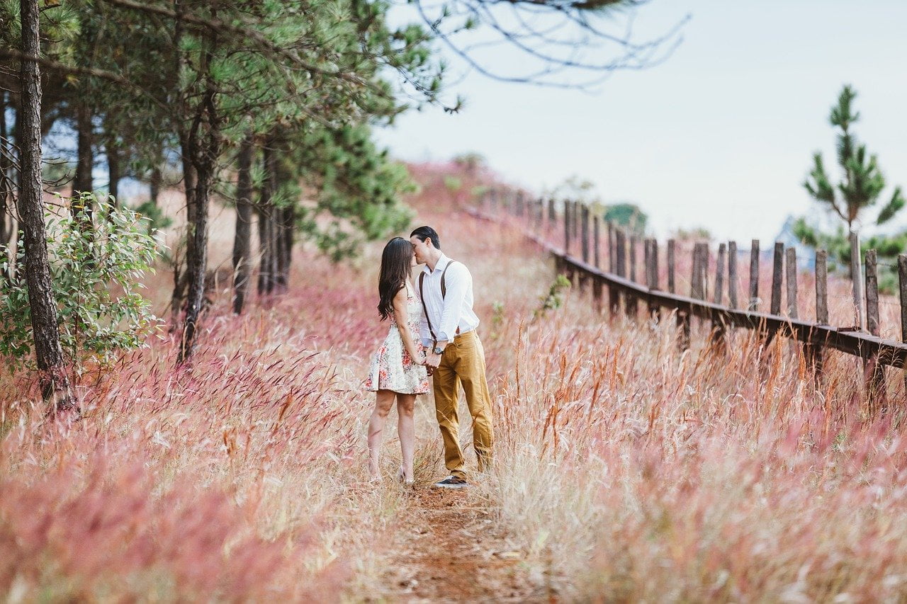 couple, kiss, field-1779066.jpg